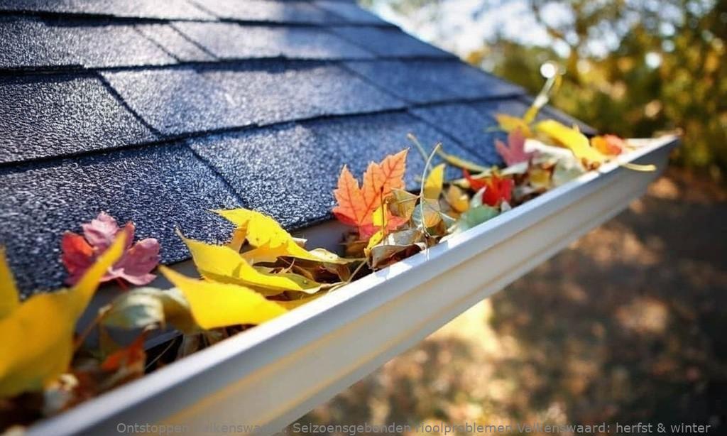 Seizoensgebonden rioolproblemen Valkenswaard: herfst & winter